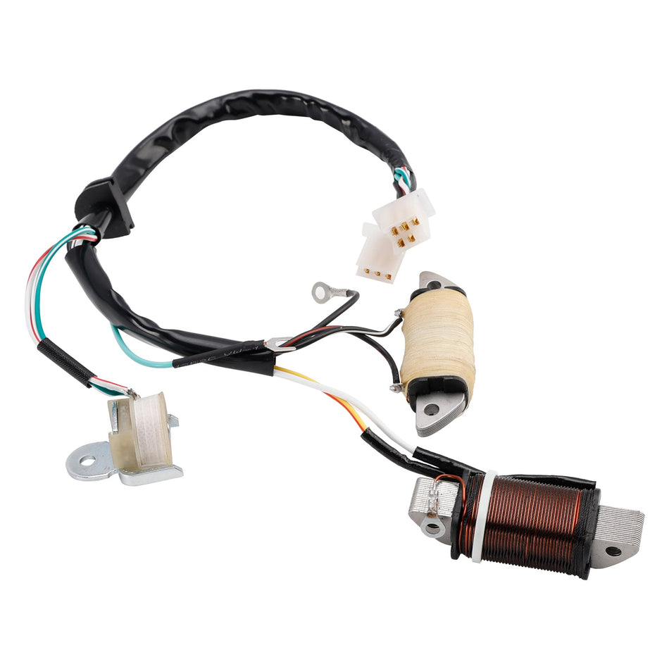 1987/1992/1993 Yamaha T80D Town Mate Ladespule &amp; Beleuchtungsspule 2MK-85560-M0 2ML-85560-M0