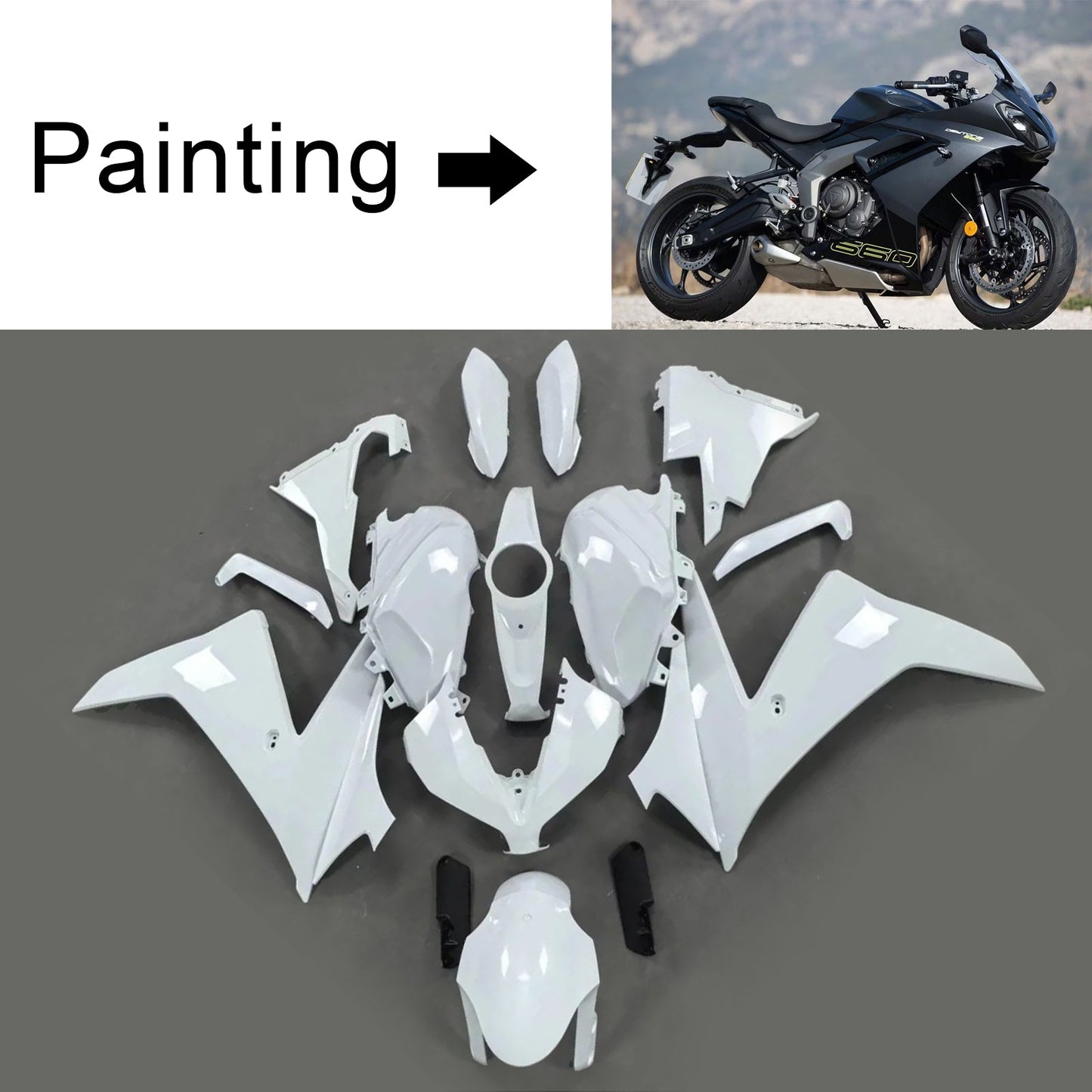 2024-2025 Triumph Daytona 660 Einspritzverkleidungssatz Karosserie Kunststoff ABS