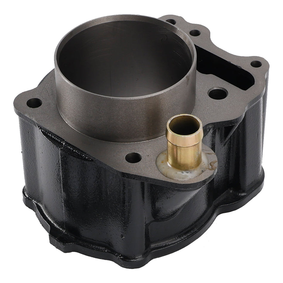 2000-2005 Honda FES250 Foresight 4T E2 Zylinderkopf-Reparatursatz mit Dichtungen 12100-KFG-J00