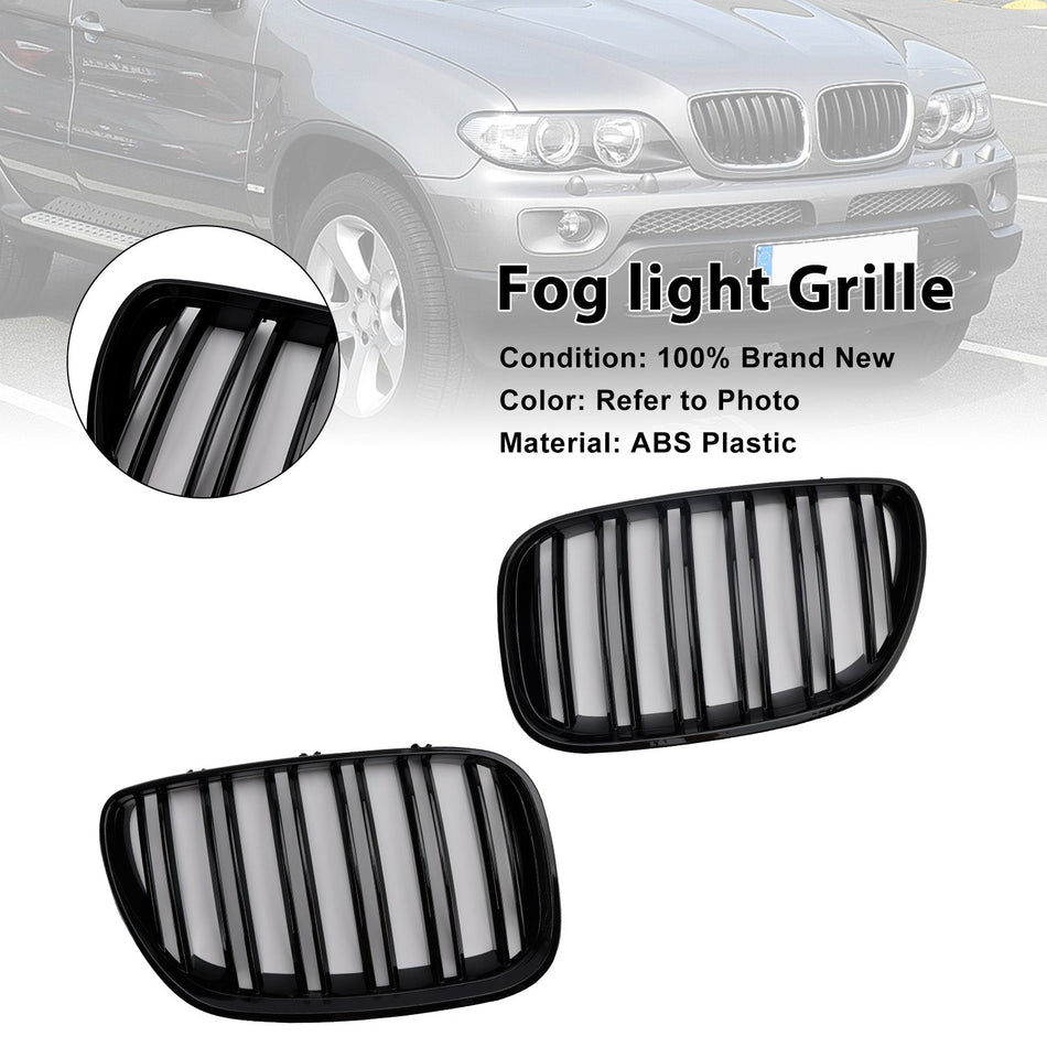 BMW X-Serie X5 E53 (2004–2006) Frontgrill mit Nierendesign, glänzend schwarz