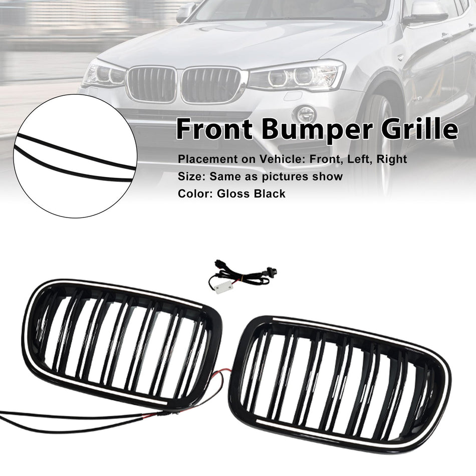 Zweizeiliger schwarzer Frontstoßstangengrill für BMW X3 F25 (2011–2014)