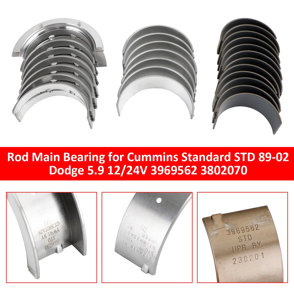 1989-2002 Cummins Standard STD Dodge 5.9 12/24V Pleuellager Hauptlager 3969562 3802070