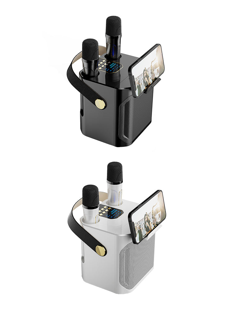 Drahtloser Bluetooth-Lautsprecher mit Doppelmikrofon, Karaoke, tragbarer Karaoke-Lautsprecher für Zuhause