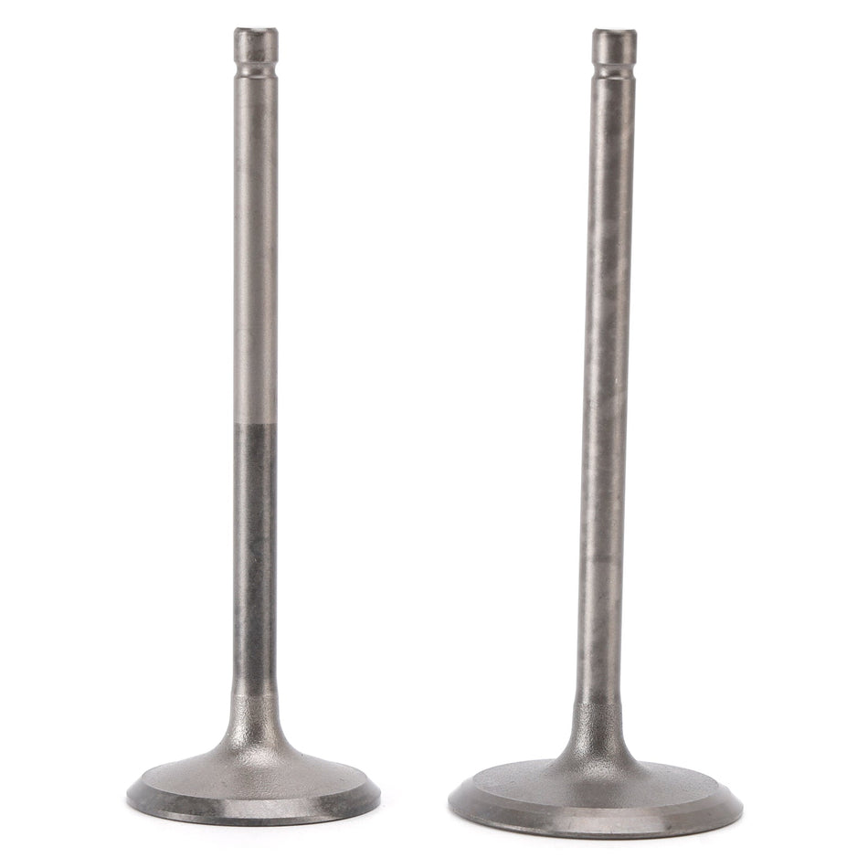 Einlass- und Auslassventil für Yamaha 200, 225, 250 PS (11-19) 6P2-12111-10 6P2-12121-10