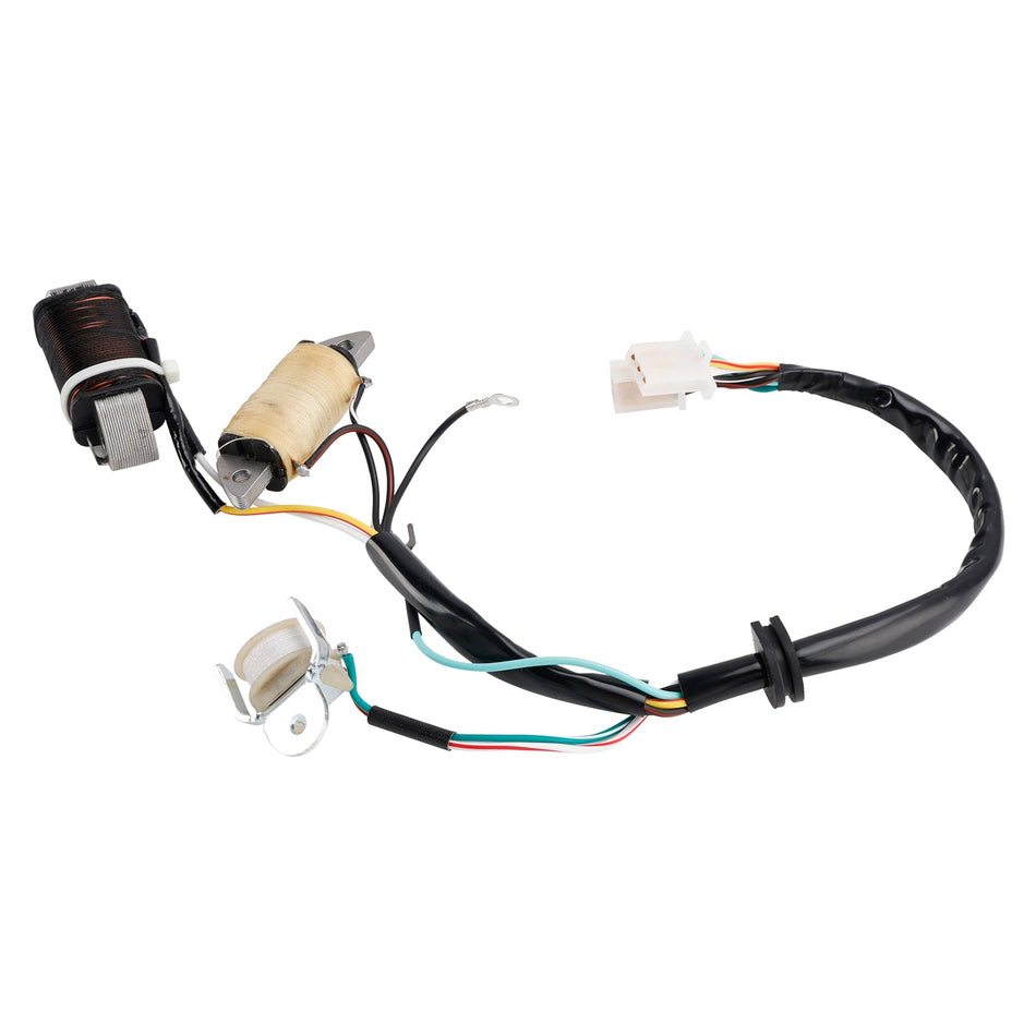 1987/1992/1993 Yamaha T80D Town Mate Ladespule &amp; Beleuchtungsspule 2MK-85560-M0 2ML-85560-M0