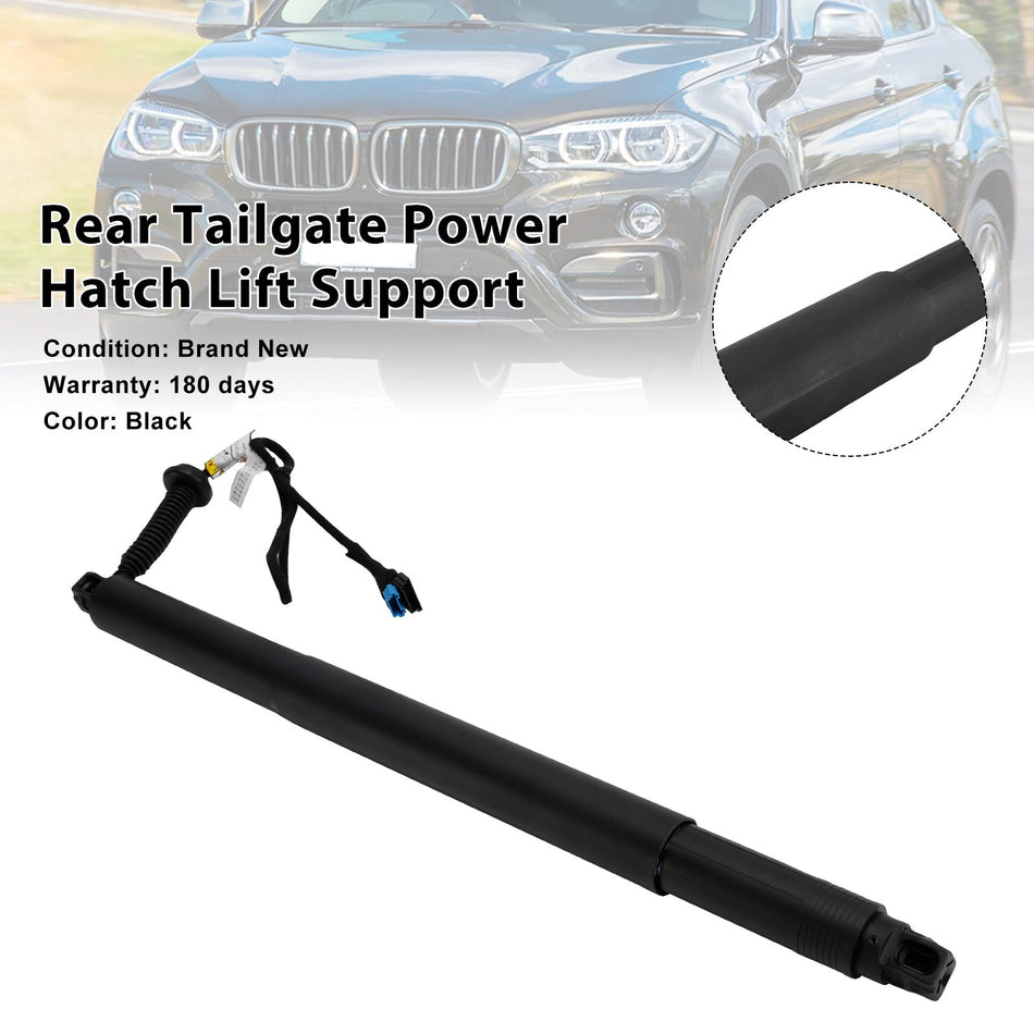 2014–2019 BMW X6 F16 F86 Heckklappen-Hebemechanismus hinten links 51247434043