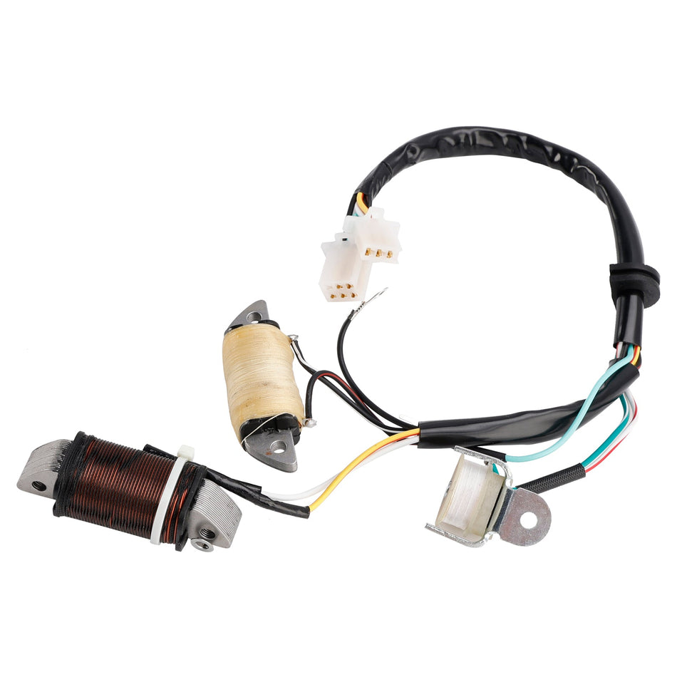 1987/1992/1993 Yamaha T80ED Town Mate Ladespule &amp; Beleuchtungsspule 2MK-85560-M0 2ML-85560-M0