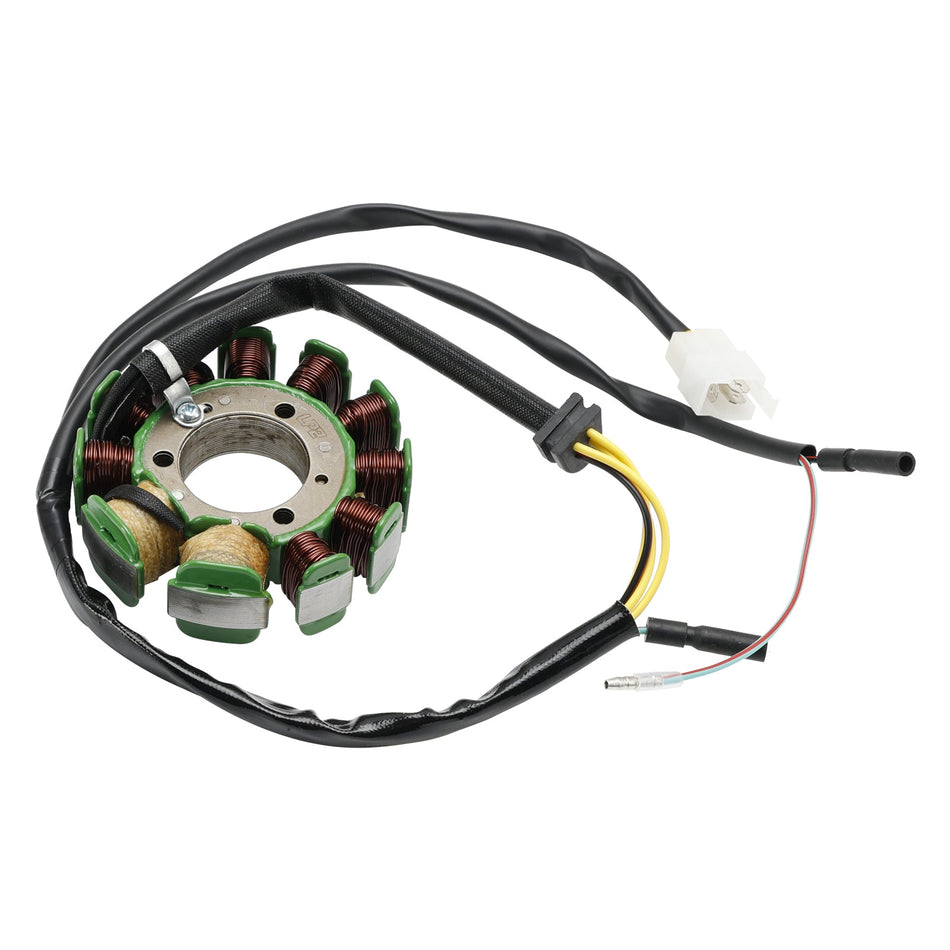 MAGNETSTATOR 11-POLIG FüR SMC STINGER EXPLORER BAROSSA CHEETAH REX QUAD ATV 250