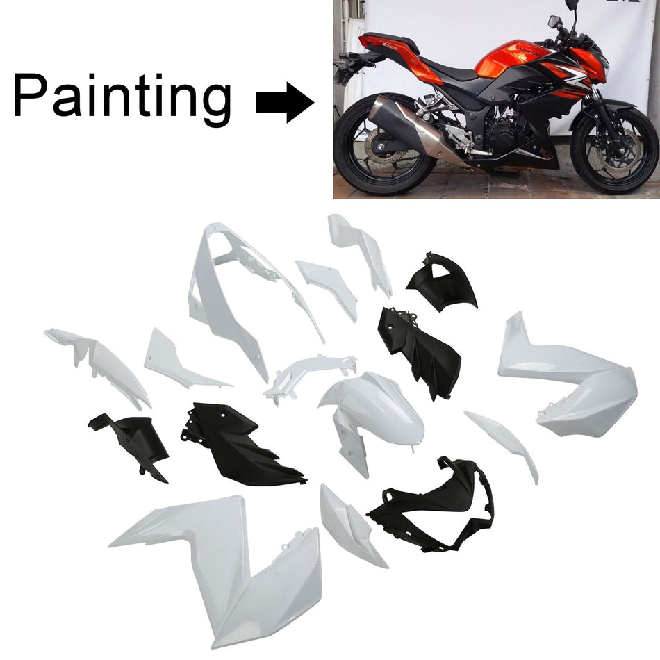 Amotopart Kawasaki Z250 Z300 2015-2016 Verkleidungskit