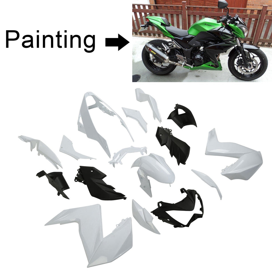 Amotopart Kawasaki Z250 Z300 2015-2016 Verkleidungskit