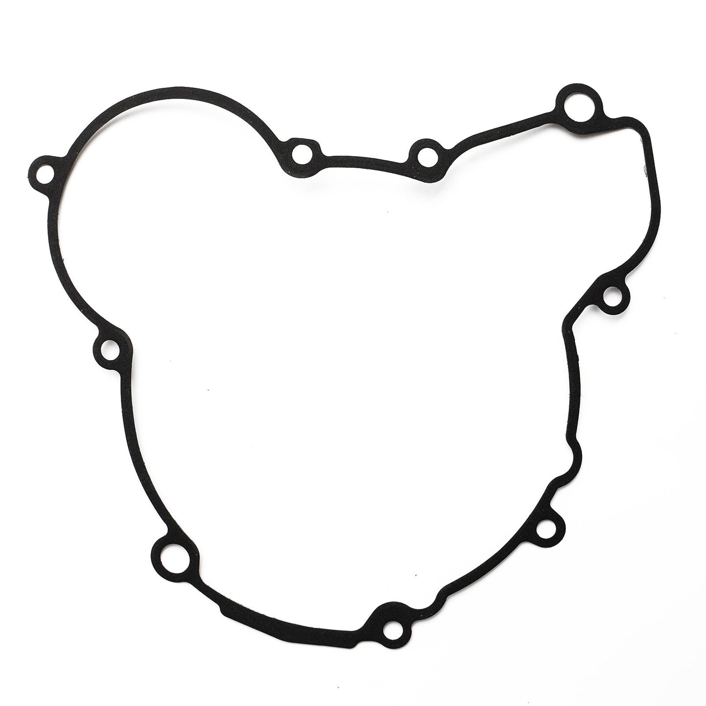 2021–2023 Gas Gas EC250 EC300 EX300 Magneto-Stator + Spannungsgleichrichter + Dichtung