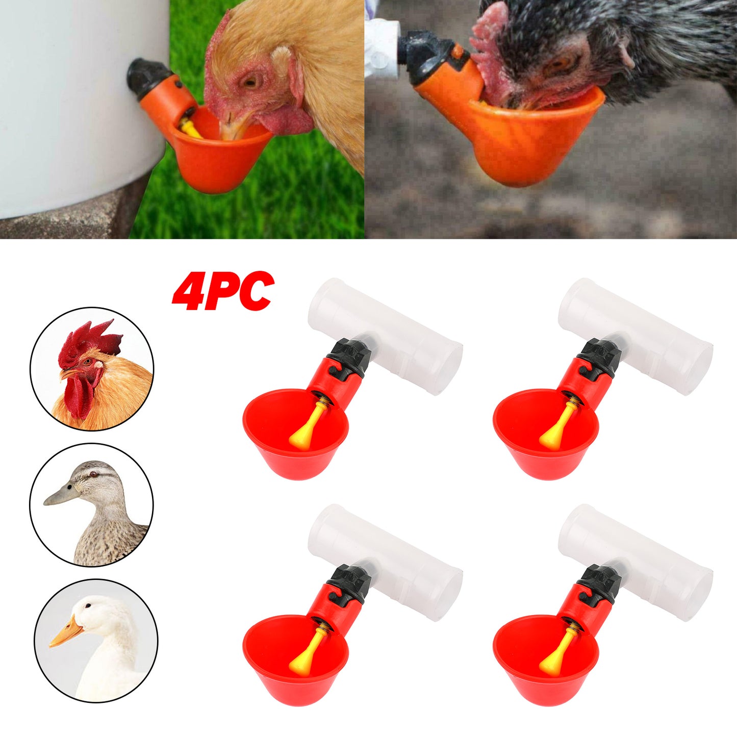 4Pcs Huhn Geflügel Wasser Trinker Tasse Coop Schüssel Automatisch Pigeon Farm