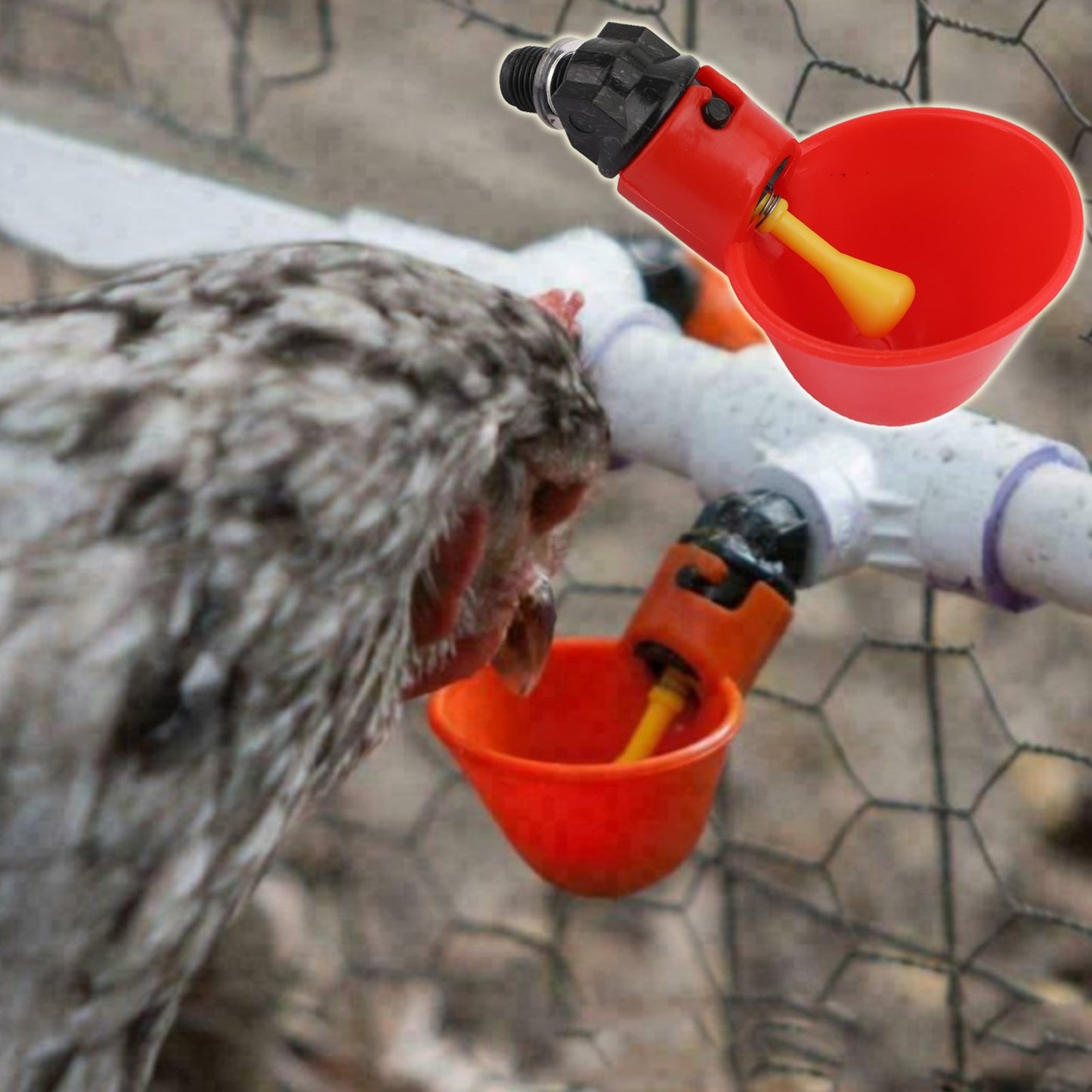 4Pcs Huhn Geflügel Wasser Trinker Tasse Coop Schüssel Automatisch Pigeon Farm