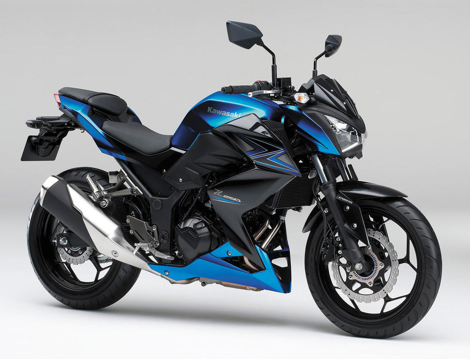 Amotopart Kawasaki Z250 Z300 2015-2016 Verkleidungskit