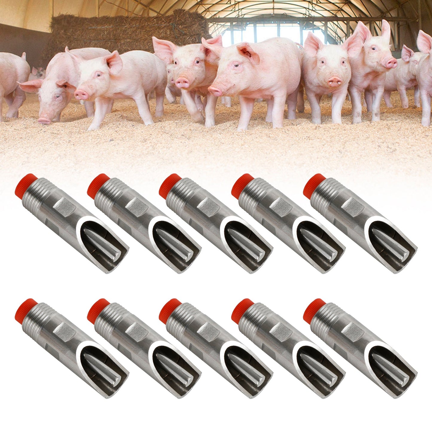 10 Stück Edelstahl-Tr?nke-Tr?nken-Werkzeuge 1/2" NPT-Gewinde Pig Hog Automatic Fedex Express