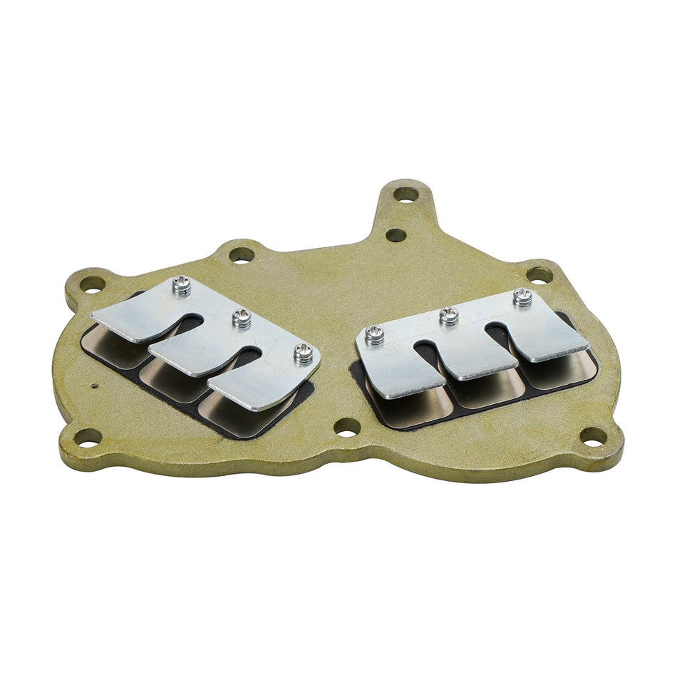 362-02100-1 Membranventilbaugruppe für Tohatsu-Au?enbordmotor NS9,9 NS15 NS18 M9,9 M15 M18