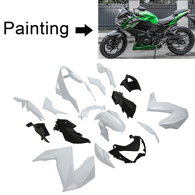 Amotopart Kawasaki Z250 Z300 2015-2016 Verkleidungskit